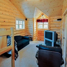 Log Siding Sitting Room