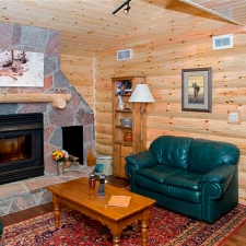 living room log siding