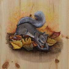 Painted-Door-Squirrel-Close-up