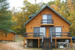 pine log siding