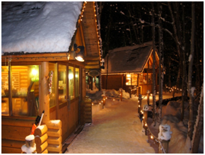 5 Applications Log Siding