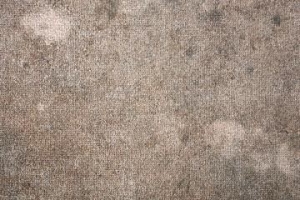  Pine floors are allergen-free