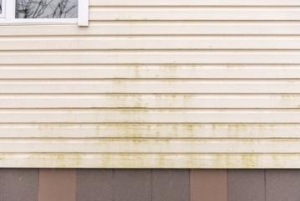 Pine Log Siding
