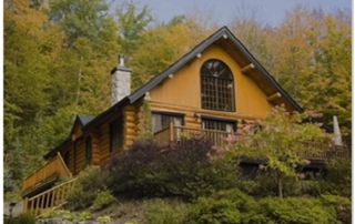 pine log siding home depot