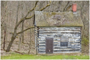 Log Cabin Siding