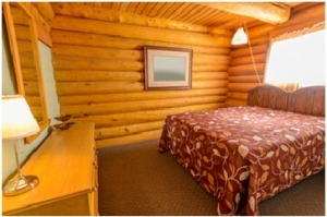 Log Cabin Siding