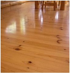 Interior Wood paneling